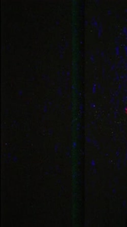 Vertical Digital Glitch Noise Effect for Screen Damage