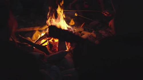 Rassemblement chaleureux autour d'un feu de camp Découvrez la chaleur et la connexion profonde partagées sous une magnifique étendue