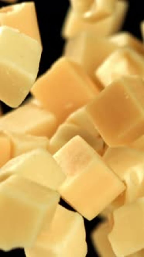 Maasdam Cheese Flies Up and Falls Down on a Black Background Filmed on a Highspeed Camera at 1000