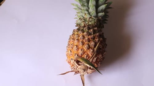 Pineapple Still Life on White Background