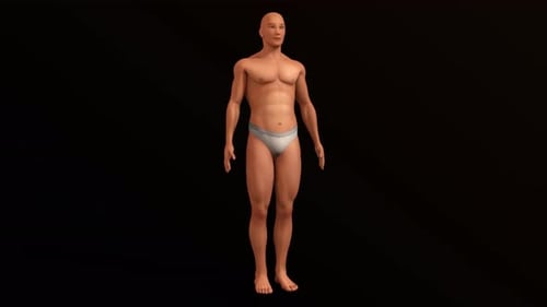 Animated male body showing weight gain