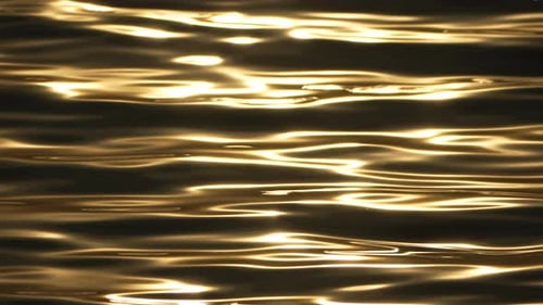 Golden Waves Shimmering at Sunset