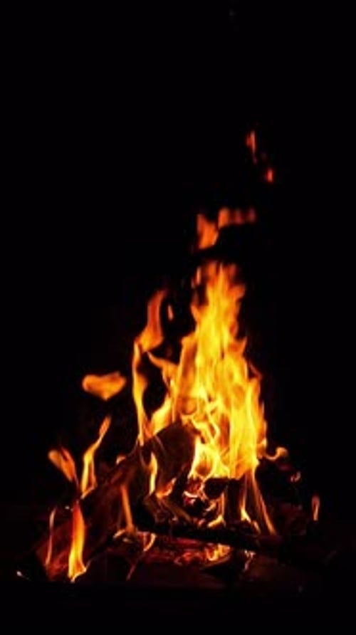 Campfire Burning Brightly Against Black Background