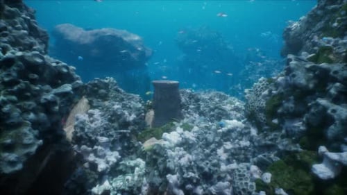 Ancient Ruins of City or Temple Covered in Algae and Coral on Ocean Floor