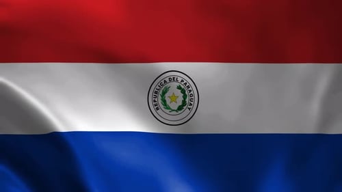 Realistic Waving Paraguay National Flag Loop