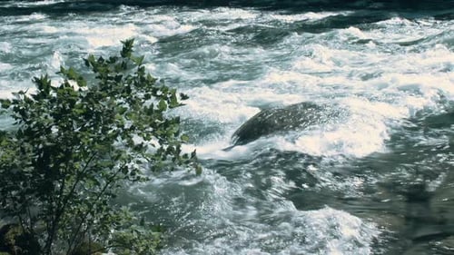 Kleine Stromschnellen mit Buschrahmung links