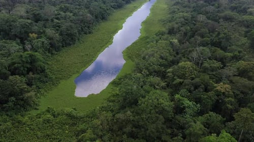 Filmmusik Drohnenaufnahme eines Teiches im Amazonas-Regenwald, mit dem üppigen grünen Wald ringsum