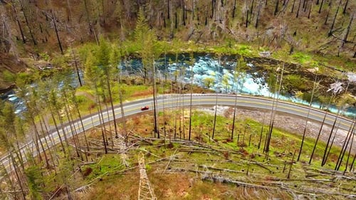 Picturesque river flowing around the mountains covered with dry pine tree wood.