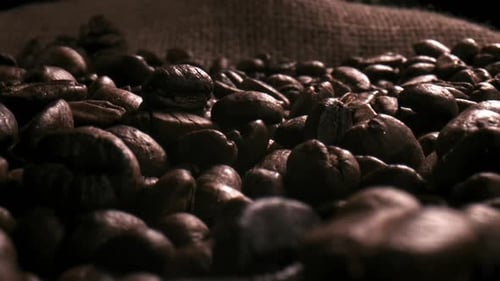 Coffee Beans
