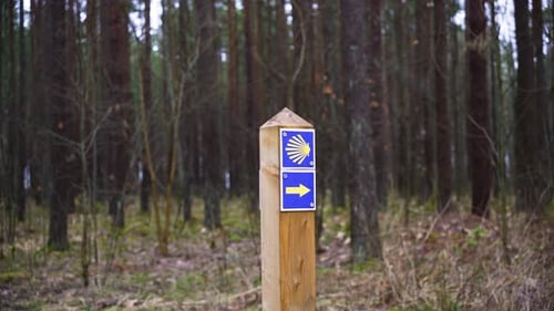 the shot of Camino de Santiago Routes sign in the forest