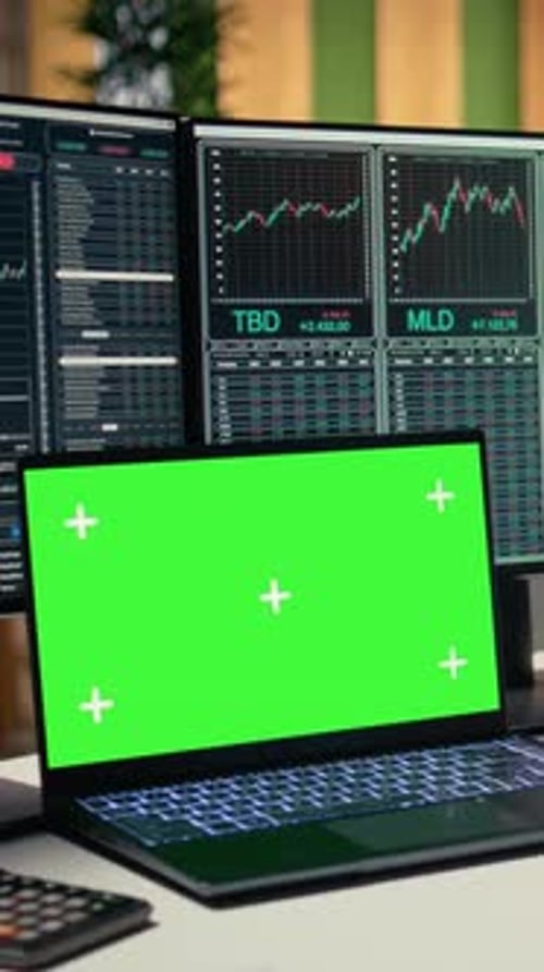 Vertical Video Portfolio Manager Analyzes Market Trends on Isolated Screen Laptop