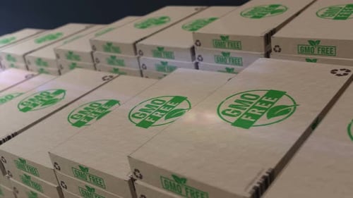 GMO Free Cardboard Boxes Packaging Loop Animation
