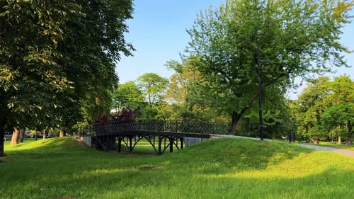 Little metal bridge in the green park. View of a beautiful nature in the city on sunny summer day.