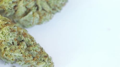 Marijuana Close Up Slow Dolly Shot Full Screen Background