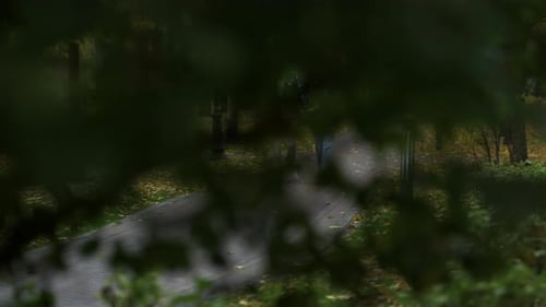 Glückliches Paar, das im romantischen Herbstpark datiert. Weitwinkelaufnahme fröhlicher junger Verliebter, die mit dem Arm spazieren gehen...