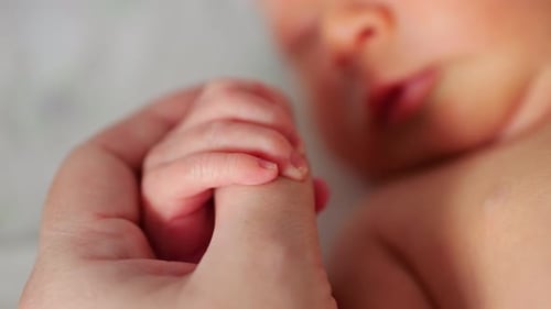 Infant Grasps Adult Finger in a Gentle Moment