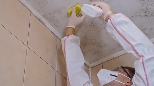 Cleaning Mold Infested Ceiling in Bathroom