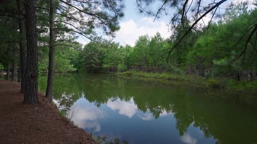 Side tracking shot of pond with trees on a tract of land