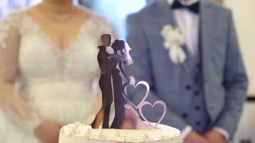 Wedding Cake Topper Close Up with Bride and Groom