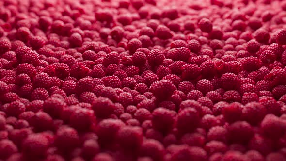 Colorful background covered with raspberries., Backgrounds Motion ...