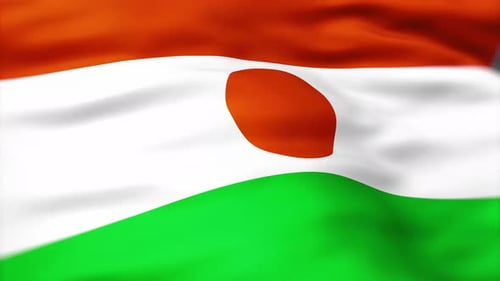 Realistic Waving Flag of Niger with Fabric Texture