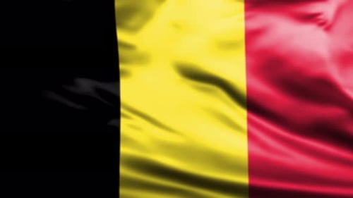Animated Belgian Flag Waving Seamless Loop