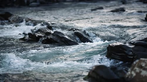 Wild mountain river flowing in the carpathians with a small waterfall