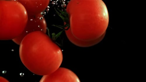 Frische Tomaten fallen unter Wasser auf schwarzem Hintergrund, gefilmt mit einer Hochgeschwindigkeitskamera mit 1000 Bildern pro Sekunde