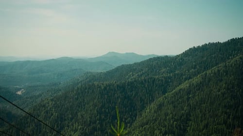 Green Forest Covering Majestic Mountain Range