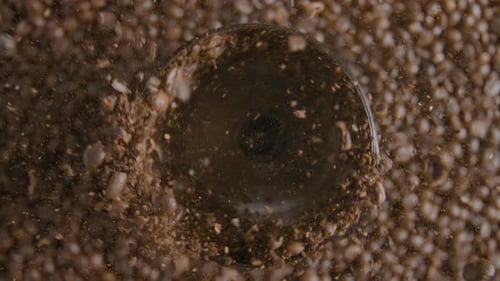 Coffee Beans Grinding in a Coffee Grinder