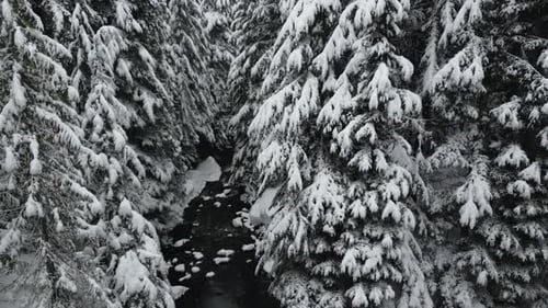 Flying Through The Snow-covered Trees By The River During Snowfall In Idaho, USA