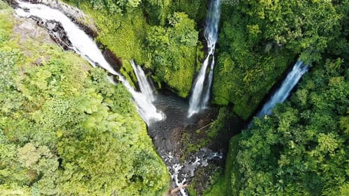 Bali Fiji waterfall in the green vibrant rain forest aerial