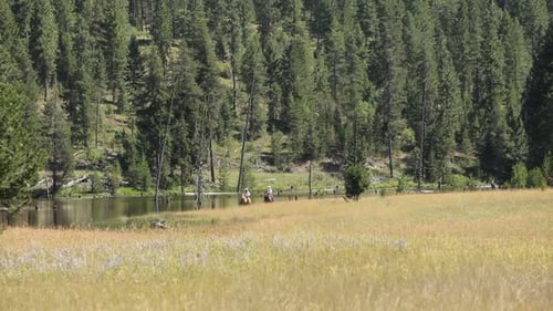 Dos vaqueros montan a caballo por la pradera