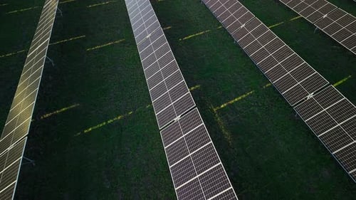 Aerial Closeup of Solar Panels Arranged in Long Rows on a Green Field Capturing Sunlight to Generate