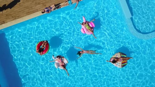 Aerial Friends Chilling in Swimming Pool with Inflatable Flamingo Swan Mattress Happy Young People
