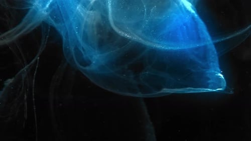 Glowing Blue Liquid Swirling Against Black Background