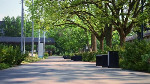 morgendlicher Blick auf den grünen Stadtpark im Sommer ohne Menschen, Stadtlandschaft, Bäume und Sträucher