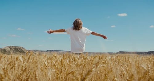 Woman Run Walk Free in Field of Wheat on Sunny Day