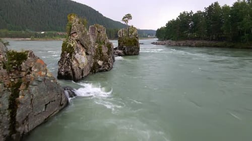 Le débit turbulent d'une rivière de montagne trempe dans l'eau