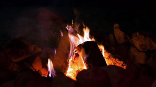 Firewood