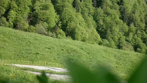 Zoom shot of millennial caucasian backpacker hiking on rural mountain trail