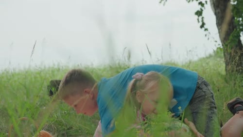 Sibling Summer Fun Children Laughing in Grassy Field Playful Siblings Enjoy Sunny Meadow Moments