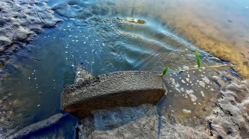 Polluted contaminated sewage grey water dump point river, environmental