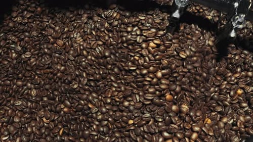 Roasting Coffee Beans in Production Machine