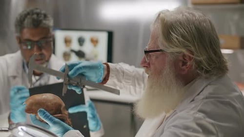 Two Mature Scientists Examining Skull during Archaeological Research in Lab