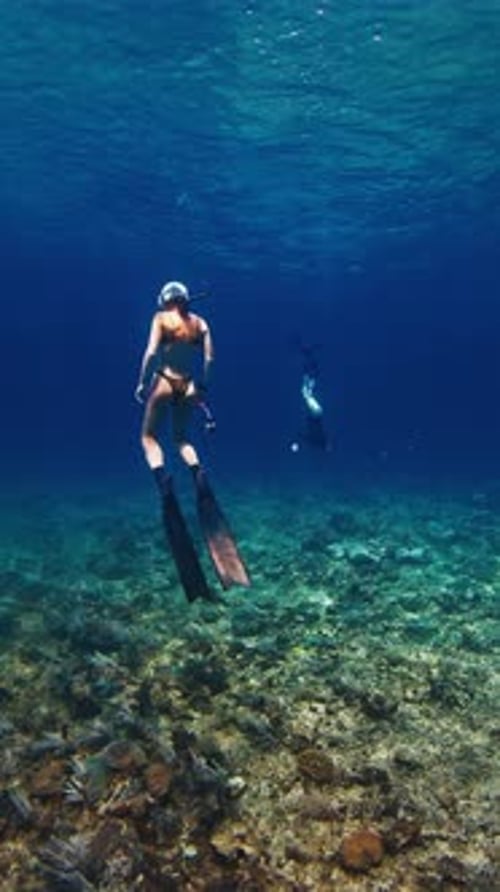 Sexy freediver. Female freediver swims in the tropical sea. Woman free diver in bikini glides underw