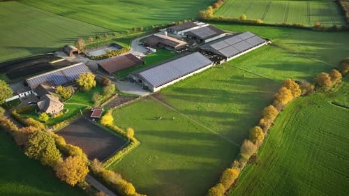 Aerial pull-back shot of modern livestock farm with photovoltaic panels on barn roofs, biogas plant,