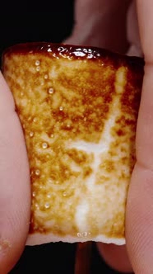 Toasted Marshmallow Being Squeezed on Stick