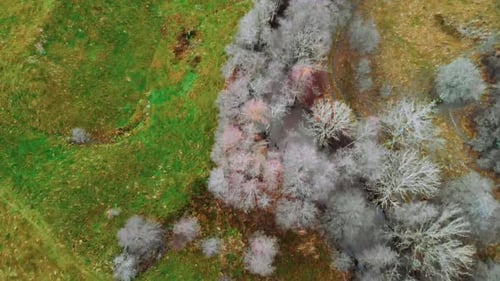 Wunderschöne Luftaufnahmen von einem kleinen Fluss, der zwischen weißen Bäumen und grünen Feldern fließt.