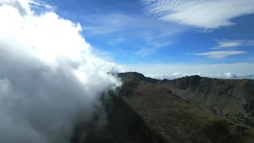 Aerial Shot